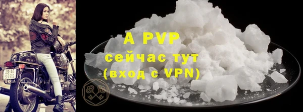 стаф Волоколамск