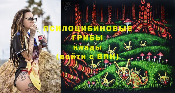 стаф Волоколамск