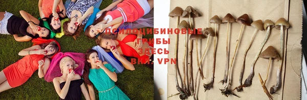 прущая мука Верхний Тагил