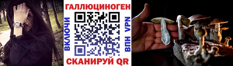 Псилоцибиновые грибы GOLDEN TEACHER  Купить где  Курганинск 