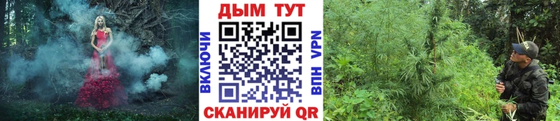Купить  Курганинск  Бошки Шишки Amnesia 